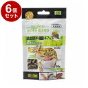 【6個セット】 GEX ジェックス RepDeli レオパブレンドフード 60g【送料無料】