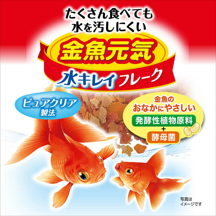 ��8�ĥ��åȡ� GEX �����å��� ������� �奭�쥤�ե졼�� 50g������̵����