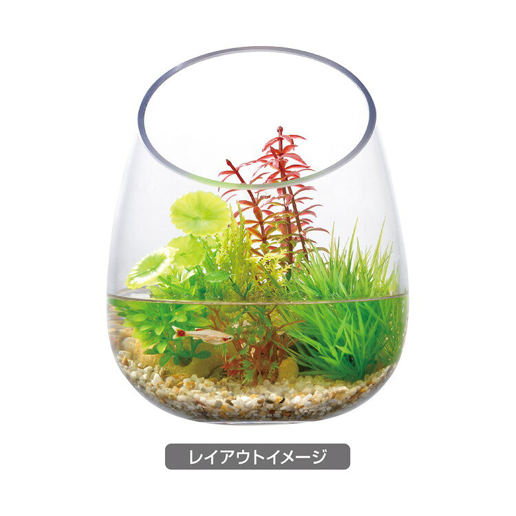 GEX ジェックス 癒し水景 ボトルプランツ ロタラ