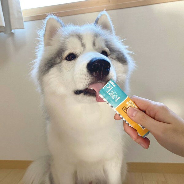 【8個セット】 ペティオ プラクト 総合栄養食 無添加 ササミペースト チーズ味 8本...