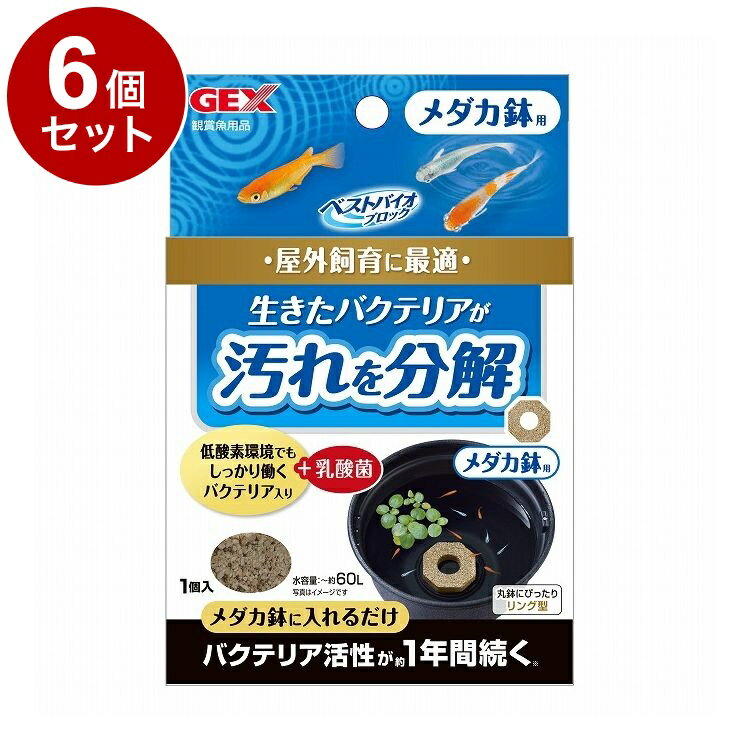 【6個セット】 GEX ジェックス ベストバイオブロック メダカ鉢用【送料無料】