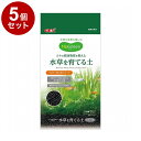 【5個セット】 GEX ジェックス Megreen 水草を育てる土 2kg【送料無料】