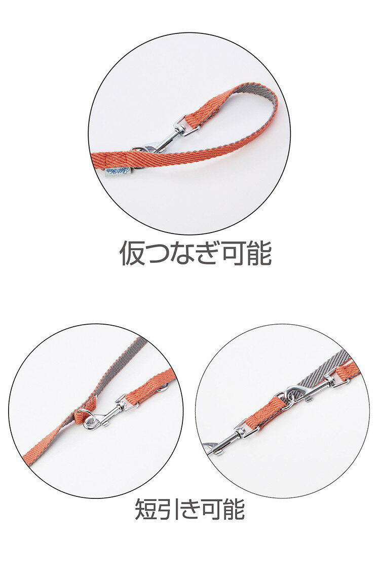 ���ɥᥤ�� ���եȥ����åץ꡼�� SS �֥롼