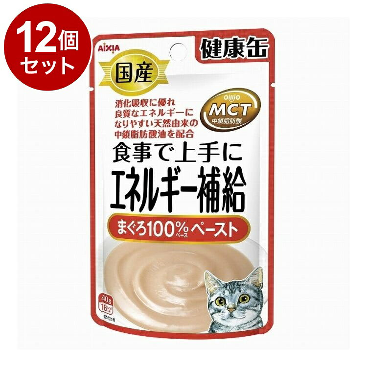 【12個セット】 アイシア 国産 健康缶パウチ エネルギー補給まぐろペースト 40g