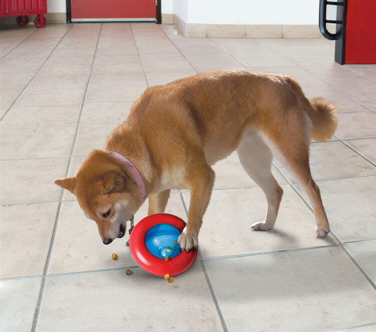 ���� ���㥤��