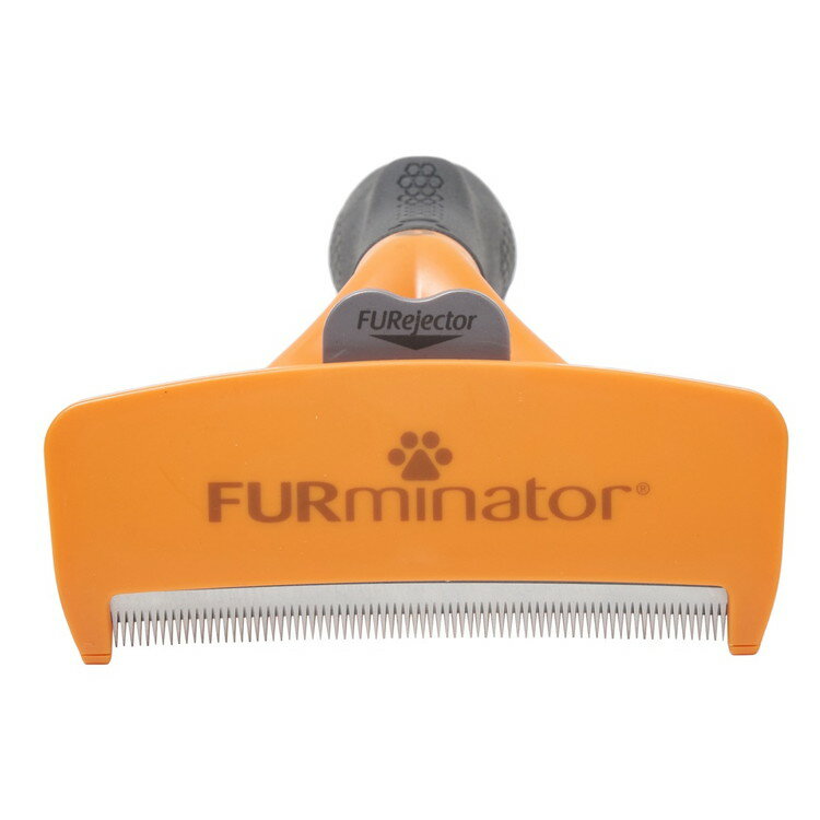 �ե����ߥ͡����� �緿�� L Ĺ�Ӽ��ѡ�����̵����