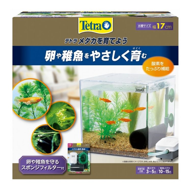 テトラ メダカを育てよう PL-17KB