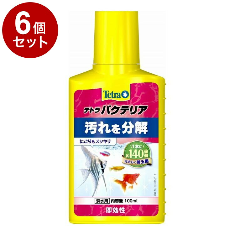 ��6�ĥ��åȡ� �ƥȥ� �Х��ƥꥢ 100ml������̵����