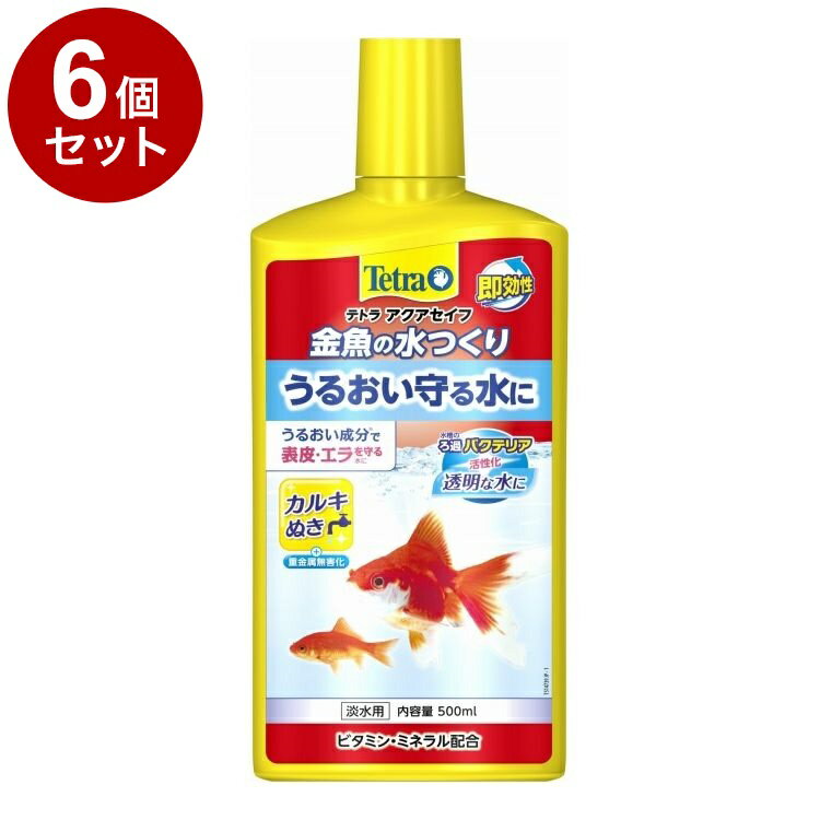 ��6�ĥ��åȡ� �ƥȥ� ����ο�Ĥ��� 500ml������̵����