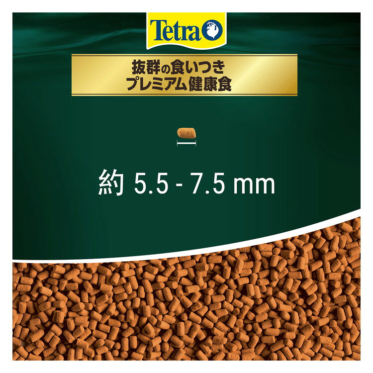 リコメン堂ホームライフ館の【2個セット】 テトラ レプトミンスーパー中粒 80g｜アングル2