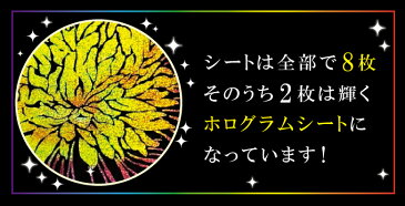 心がやすらぐスクラッチアート ねことかがやきの花園 塗り絵 ぬりえ 大人 削るアート 芸術 趣味 おしゃれ プレゼント(代引不可)