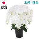 フレッシュ胡蝶蘭8本立W 造花 ギフト 贈り物 開店祝い プレゼント フェイクグリーン おしゃれ シンプル モダン リビング 新生活 一人暮らし(代引不可)【送...