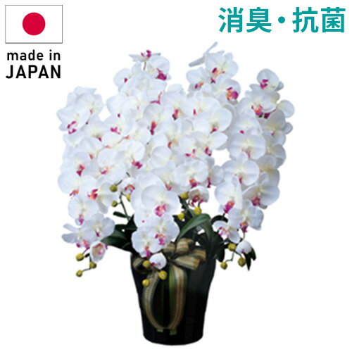 ロイヤル胡蝶蘭5本立W/AB造花ギ...