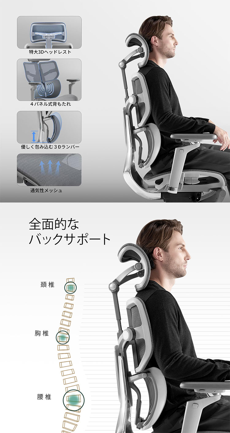 HINOMI X1-L Lサイズ エルゴノミクスチェア X1 Ergonomics CHAIR オフィスチェア デスク オフィス 背もたれ調節 ランバーサポート アームレスト ヘッドレスト リクライニング(代引不可)【送料無料】 [2]
