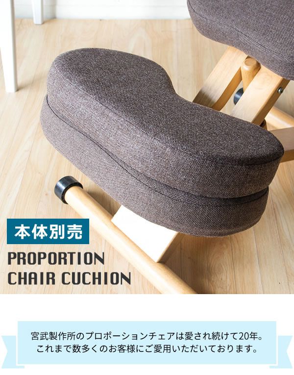 プロポーションチェア専用 補助クッション 本体別売り 学習チェア用 クッション 背筋が伸びるチェア用 クッション(代引不可)【送料無料】 rcmdva-10058668 リコメン堂ホームライフ館 サンプル画像2