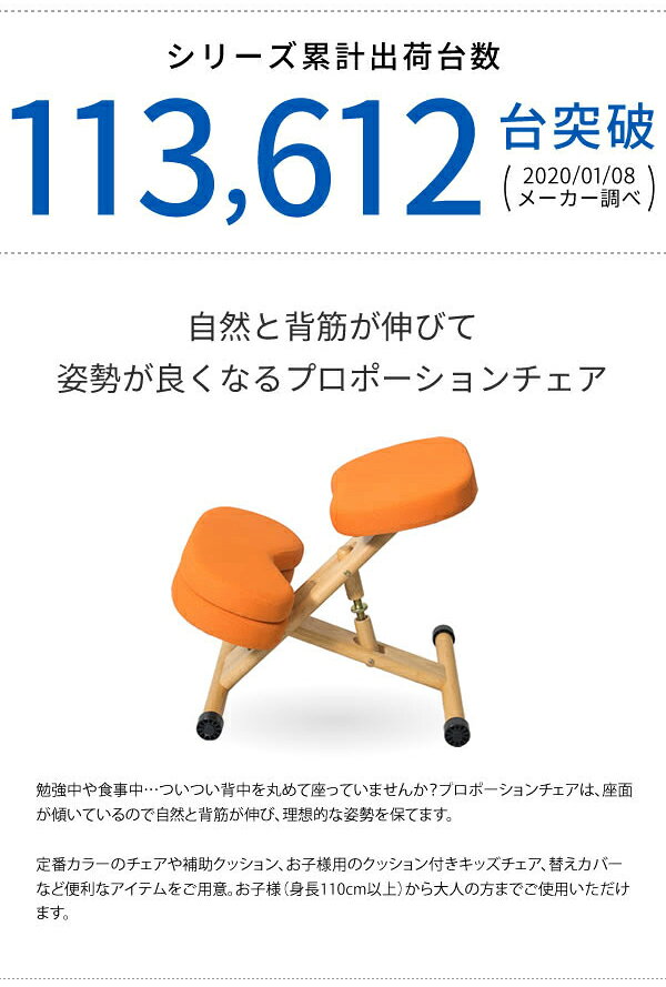 プロポーションチェア専用 補助クッション 本体別売り 学習チェア用 クッション 背筋が伸びるチェア用 クッション(代引不可)【送料無料】 rcmdva-10058668 リコメン堂ホームライフ館 サンプル画像3