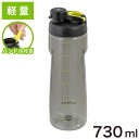 ロック&ロック ウォーターボトル 水筒 軽量 730ml ABF724BLK Active ブラック お手入れ簡単 ハンドル付き メモリ 持ち歩き 丈夫 飲み口 直飲み デスクワーク スポーツ クリアボトル トライタン
