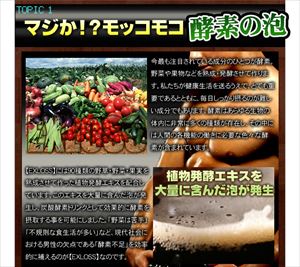 EXLOSS エグゼロス（日本製） EXLOSS エグゼロス/50点入り(代引き不可)【送料無料】