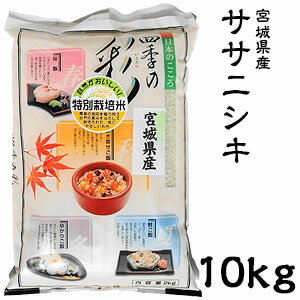 米 日本米 令和3年度産 宮城県産 ササニシキ 10kg ご注文をいただいてから精米します。【精米無料】【特別栽培米】【ささにしき】（代引き不可）【送料無料】