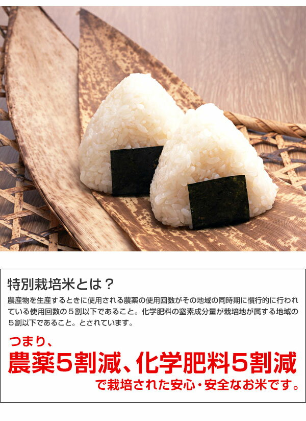 米 日本米 令和3年度産 新潟県産 コシヒカリ BG精米製法 無洗米 10kg ご注文をいただいてから精米します。【精米無料】【特別栽培米】【こしひかり】【新米】（代引き不可）【送料無料】