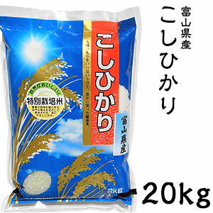 米 日本米 Aランク 令和5年度産 富山県産 こしひかり 20kg ご注文をいただいてから精米します。【精米無料】【特別栽培米】【こしひかり】【新米】(代引不可)【送料無料】