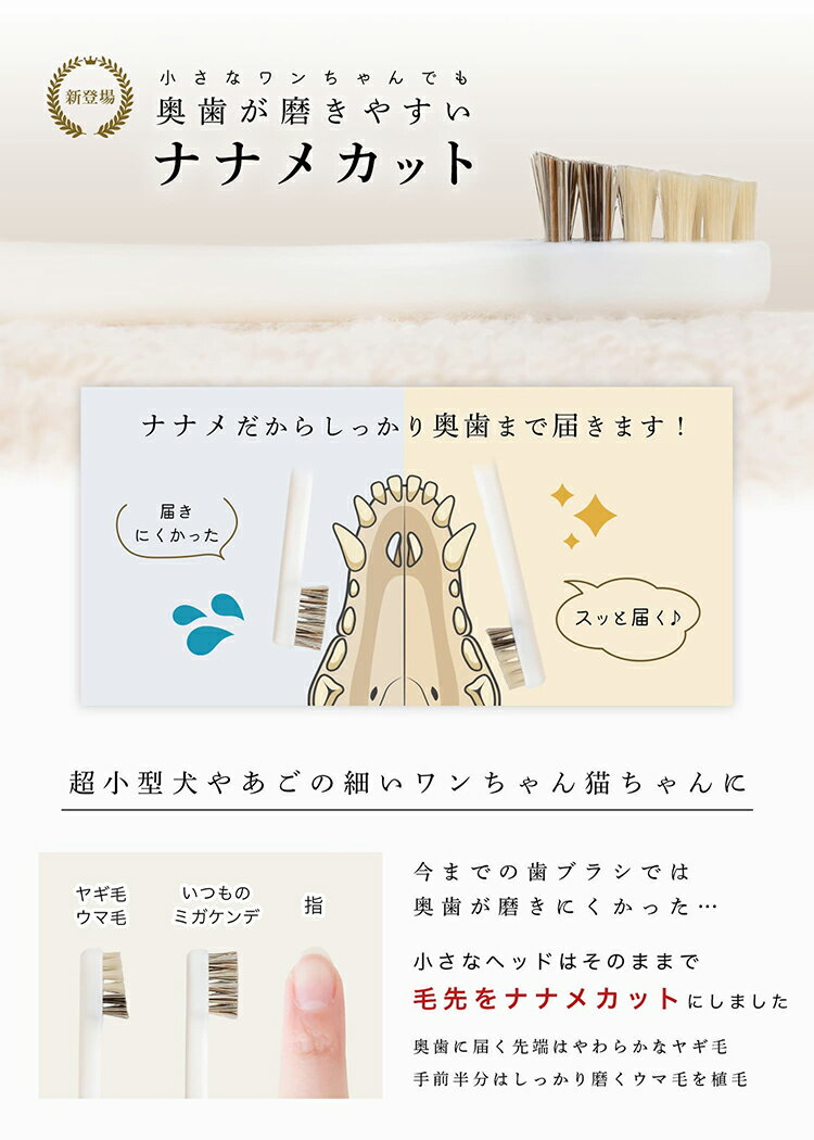 MIGAKENDE ミガケンデ 天然毛歯ブラシ 斜めカット植毛