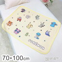 ポケモン やわらかシープひざ掛け 70×100cm ブランケット 膝掛け 毛布 裏ボア 肌掛け あったか お昼寝 ケット キャラクター 可愛い かわいい ポケットモンスター(代引不可)【送料無料】