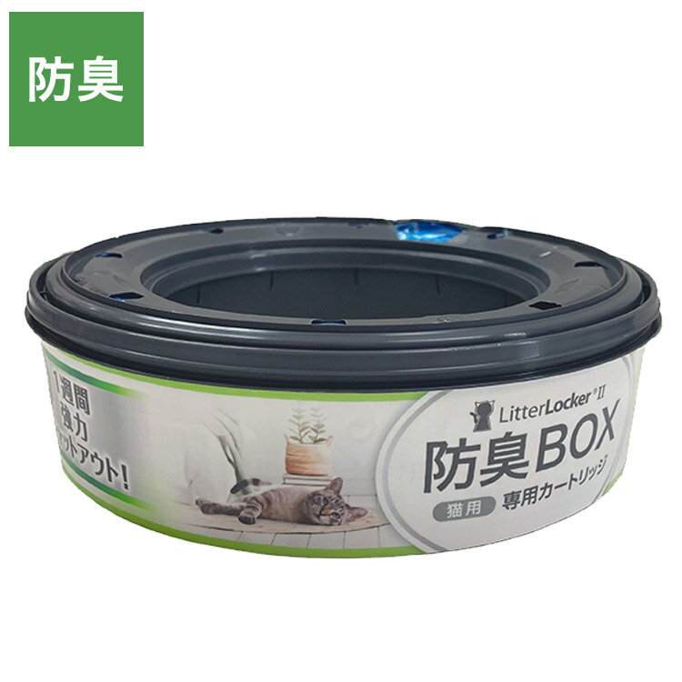 ꥳƲۡ饤մۤ㤨֥꥿åII ȥå 괹  ꥿å ѥȥå ͤؤ Ȣ Ȣ ǭ ͤ ڥå ǭѥȢפβǤʤ1,580ߤˤʤޤ