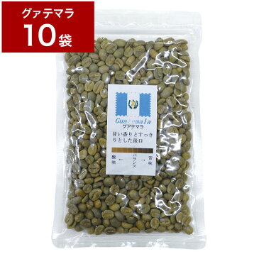 1.2kg 生豆 グァテマラ 120g×10袋 【10袋セット】 珈琲 コーヒー豆 未焙煎 グアテマラ【送料無料】