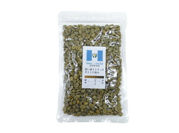 1.2kg 生豆 グァテマラ 120g×10袋 【10袋セット】 珈琲 コーヒー豆 未焙煎 グアテマラ【送料無料】