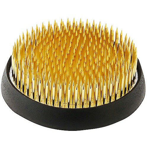 アークランドサカモト 自然作 剣山 丸 中 ゴム付