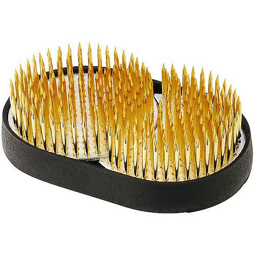 アークランドサカモト 自然作 剣山 日月 小 ゴム付【送料無料】