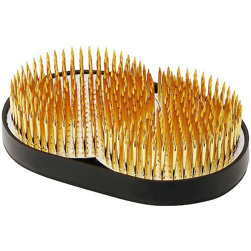 アークランドサカモト 自然作 剣山 日月 中 ゴム付【送料無料】