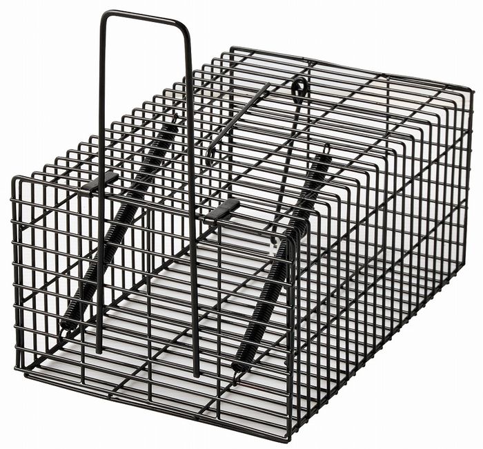 アークランドサカモト ブラック・角型ハウス