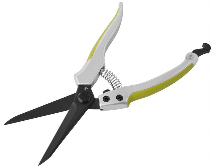 ���������ɥ������ CLUBJ ����ߥϥ�ɥ� �ե��ǥ����ǥ������� 725658