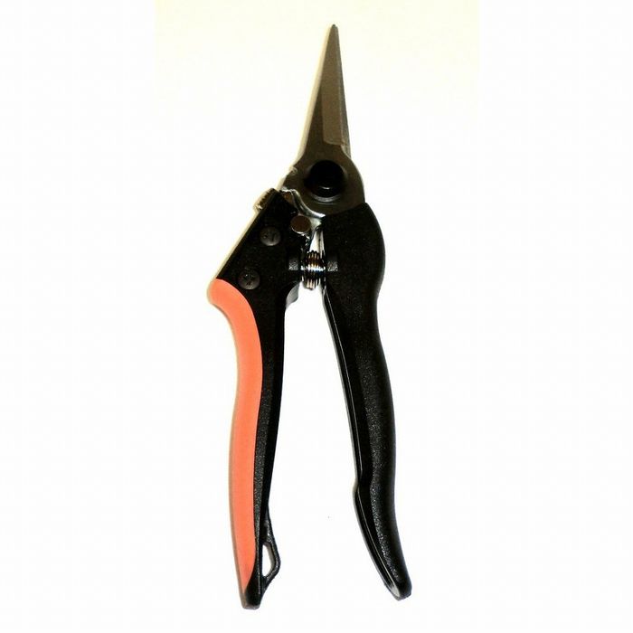 アークランドサカモト CLUB J(アークランドサカモト) 軽量芽切鋏 200mm