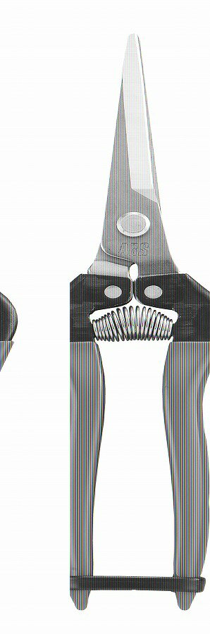 アルス 摘果鋏エクストラロングタイプステンレス(ブリスタ—パック入り) 300LL—DX—BP