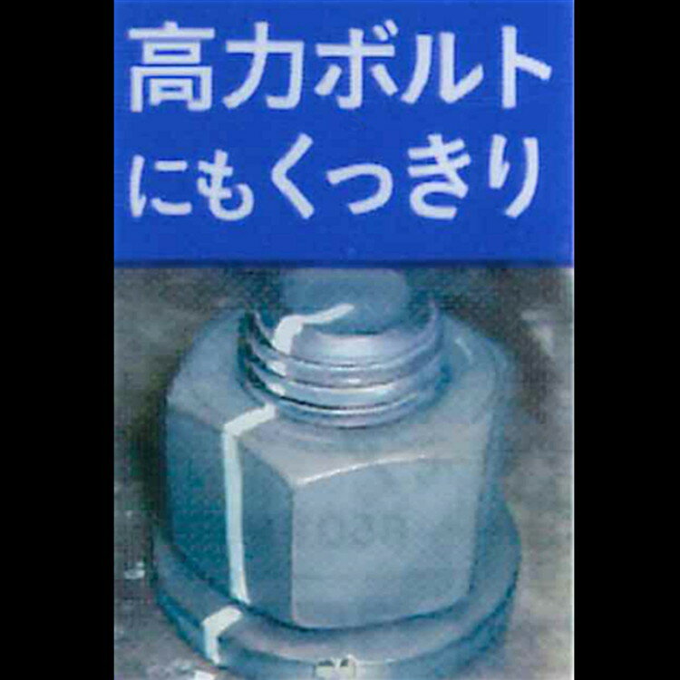 WIZ'A アークランズ 激強ペン先マーカー 中字 6本入 蛍光ピンク WZPM-6FP