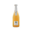 丹波ワイン てぐみプチ デラウェア 白 500ml(代引不可)