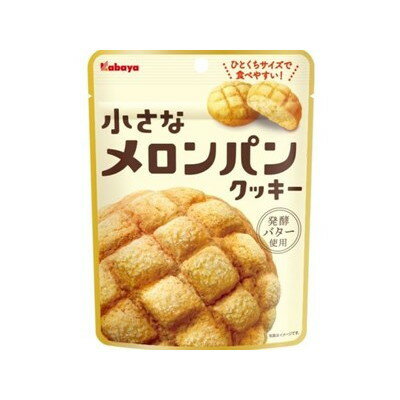 カバヤ 小さなメロンパンクッキー 41g x6 6個セット(代引不可)