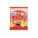 【単品12個セット】 山芳製菓 ポテトチップス 明太マヨビーフ 47gx12 まとめ買い まとめ売り お徳用 大容量 セット販売(代引不可)【送料無料】