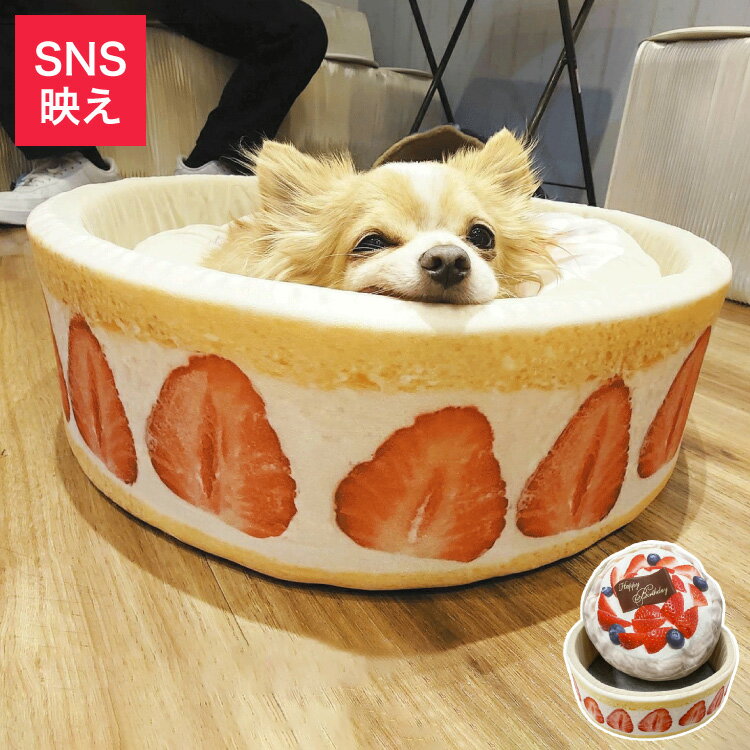 ペットベッド ペットソファ ケーキ型 スイーツ おもしろ 犬 猫 小動物 ペット インテリア かわいい おしゃれ ハウス ペット クッション ペット用品 SNS 映え バズる 誕生日 記念日 ギフト モチーフ【送料無料】のサムネイル