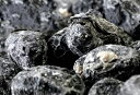 【返品・キャンセル不可 】 訳あり 無選別 高級丹波黒豆しぼり甘納豆どっさり600gギフト カタログギフト 人気 詰め合わせ 詰合せ(代引不可)