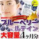 【返品・キャンセル不可 】 メガ盛り ブルーベリー ルテインサプリ 約4ヵ月分(常温) ギフト カタログギフト(代引不可)