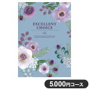 楽天リコメン堂ホームライフ館カタログギフト CATALOG GIFT キウイ 5,000円コース 出産祝い 引き出物 香典返し 快気祝い 結婚祝い お祝い プレゼント ギフト お中元 エクセレントチョイス（代引不可）【送料無料】