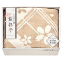 肌にやさしい自然色のシルク混綿毛布 毛羽部分 SBN85250(代引不可)【送料無料】(3)