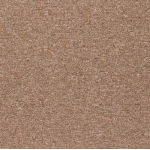 ワタナベ ワタナベ タイルカーペット ブラウン 50cm×50cm PX3008