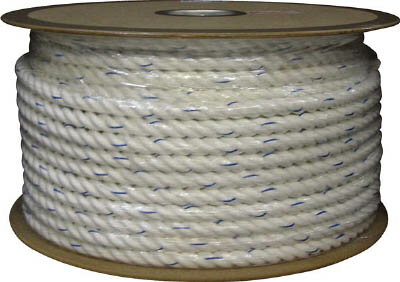 �楿�� �ӥ˥�������ץɥ�ബ 16�ա�100m PRV16������̵����