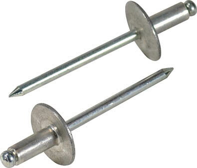 エビ ラージフランジブラインドリベット（100本入） アルミ／スティール NSA612LFEB