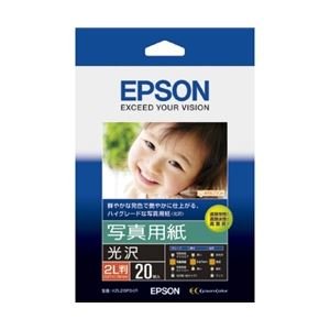 EPSON/Gv\ʐ^p[] 2L 20 K2L20PSKRyz